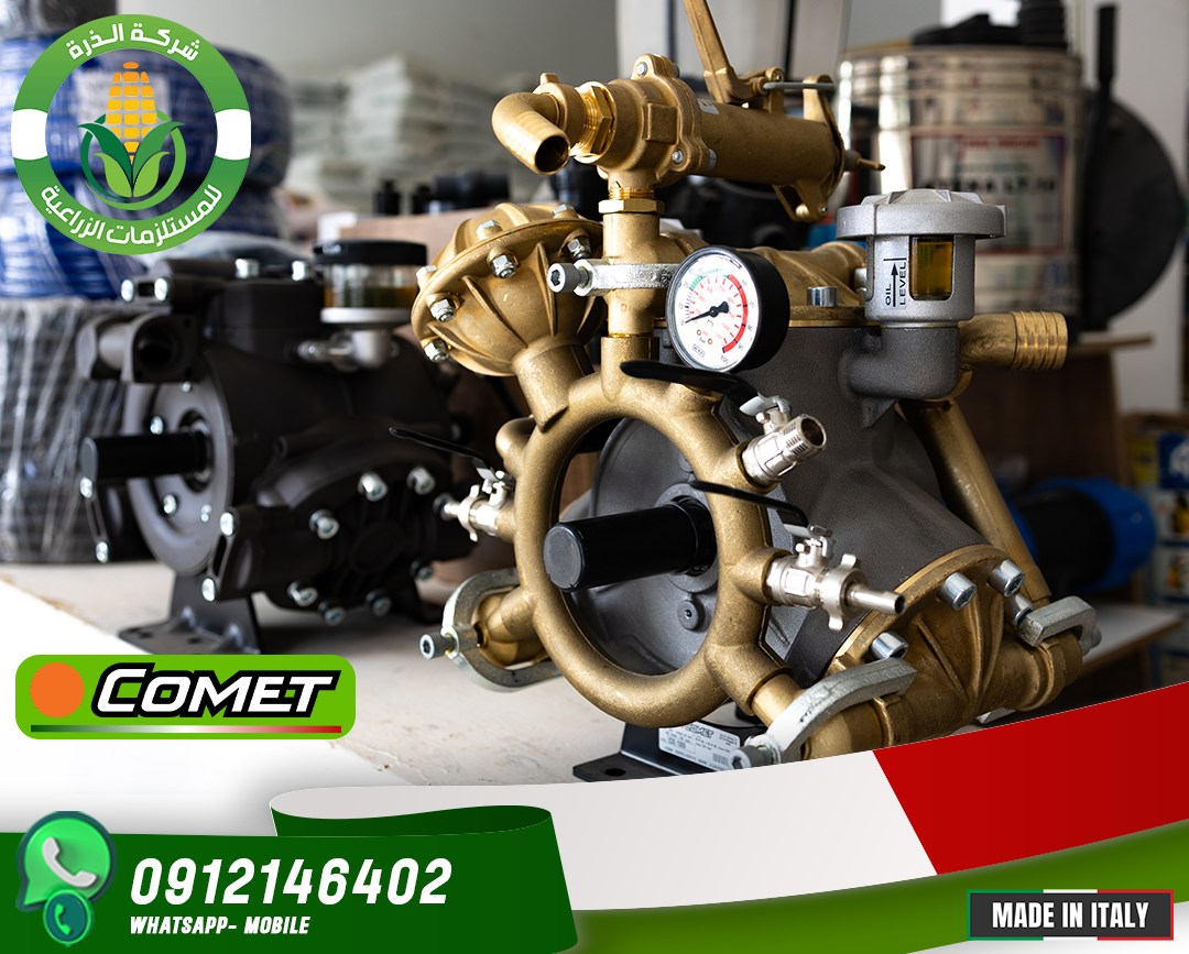 473433557_122173070060252869_7185166024883997245_n