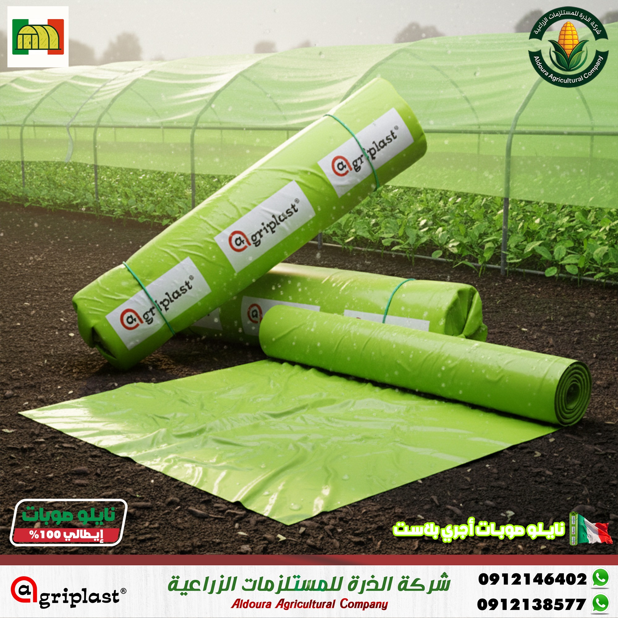 556557633_122215447148252869_3437101338960301305_n